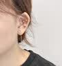 逐青999足銀鑲鉆四葉草耳線長款流蘇純銀耳釘女養耳洞耳墜新款耳飾品 999足銀四葉草耳線 一對 曬單實拍圖