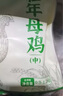 三德子好甄選壯年大公雞 凈重5.5-6.5斤 山地散養(yǎng)300天走地雞凈膛雞肉生鮮 曬單實拍圖
