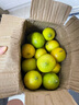兮柔海南青檸檬 新鮮檸檬 奶茶店餐飲泡飲專(zhuān)用當季時(shí)令新鮮水果 3斤裝 曬單實(shí)拍圖
