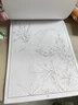鳩雨兒童線描臨摹畫(huà)冊(cè)中國(guó)畫(huà)白描本涂色畫(huà)國(guó)畫(huà)素描入門(mén)套裝涂鴉繪畫(huà)本H 【超值套裝3】4本 曬單實(shí)拍圖