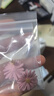 Qlady小雛菊花朵耳釘女輕奢小眾高級(jí)感耳環(huán)2026年春夏銀針耳飾生日禮物 曬單實(shí)拍圖