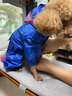 寵星記 中小型犬雨衣 寵物外出雨衣 泰迪比熊雪納瑞博美雨衣 紅色 中號(hào)L碼 胸圍50-54cm 曬單實(shí)拍圖