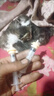 OSKV奇跡奶嘴幼貓貓咪喂奶器小貓奶嘴0-3個月貓咪專用奶嘴針管喂食器 針管喂奶器5件套【1ml/3ml/5ml針管+1號/2號奶嘴】 曬單實拍圖