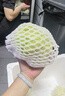 槿饈球生菜18斤裝沙拉漢堡煎餅新鮮現(xiàn)采蔬菜沙拉食材輕食球形圓西生菜 10斤裝 曬單實拍圖