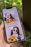 【全新未使用】國行蘋果Apple iPhone 13/13pro/13promax原裝雙卡5G全網通輕薄ai庫存學生備用國家貼息手機 【純原】蘋果13國行-白色 128GB【系統未激活】 曬單實拍圖