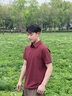 迪桑特（DESCENTE）DESCENTE迪桑特TRAINING系列男士吸濕速干D-TOUGH短袖POLO衫新品 DR-深紅色 L (175/96A) 曬單實拍圖