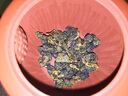 唐明皇梨山茶 臺灣高山茶 原裝進(jìn)口 凍頂烏龍茶 年貨禮盒 新茶500克 梨山茶禮盒 500g*1盒 曬單實(shí)拍圖