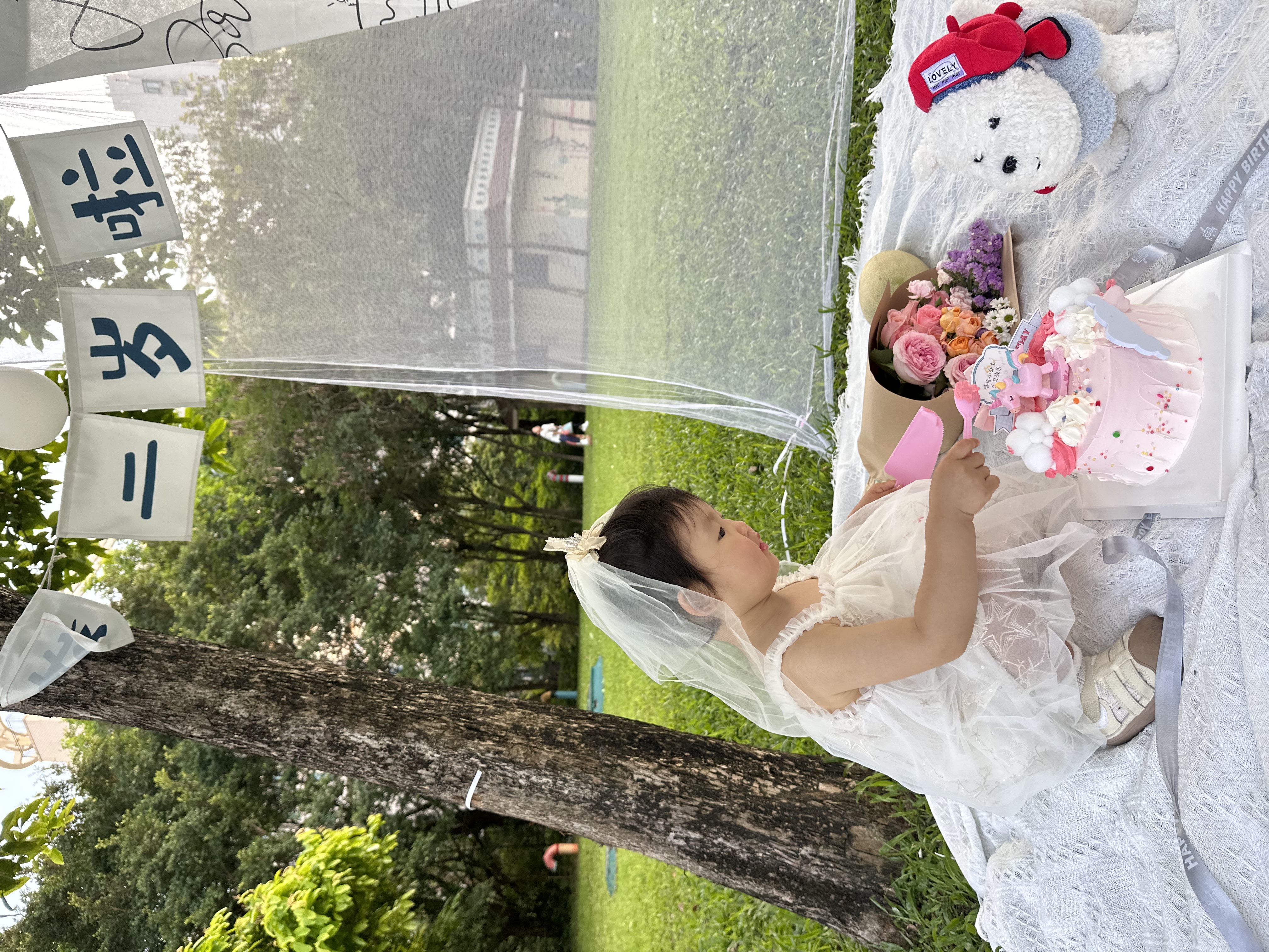 邁米德兒童頭紗女童公主發飾皇冠冰雪公主生日發夾花童蝴蝶結婚紗頭飾 米色飄紗 曬單實拍圖