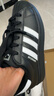 阿迪達斯（adidas）三葉草男女新款貝殼頭二代SUPERSTAR II明星同款經(jīng)典板鞋運動鞋 JI0079【曬圖退10】 37 曬單實拍圖