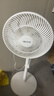 先鋒（SINGFUN）電風扇家用柔風落地扇輕音立式臺式桌面小型風扇大風量節(jié)能搖頭宿舍電扇 機械基礎款 DLD-D17 曬單實拍圖