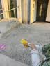 貝思奈竹蜻蜓手拉飛盤陀螺戶外玩具3-6歲回旋小男孩飛行玩具生日禮物 曬單實拍圖