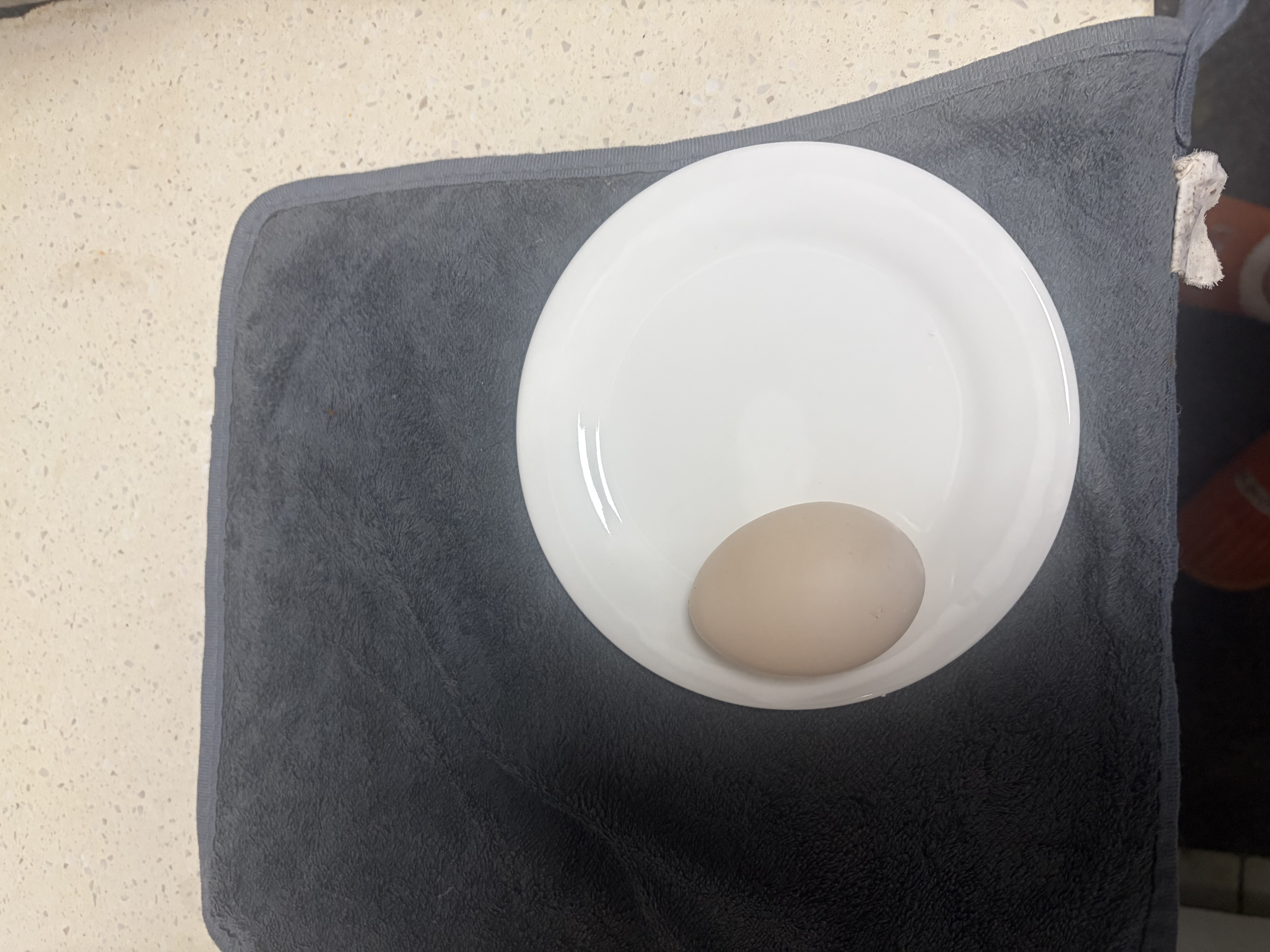 京樂牛排盤子純白陶瓷圓形西餐盤子家用菜盤碟子淺盤平盤菜碟西式餐具 （平盤） 1個 6英寸 曬單實拍圖