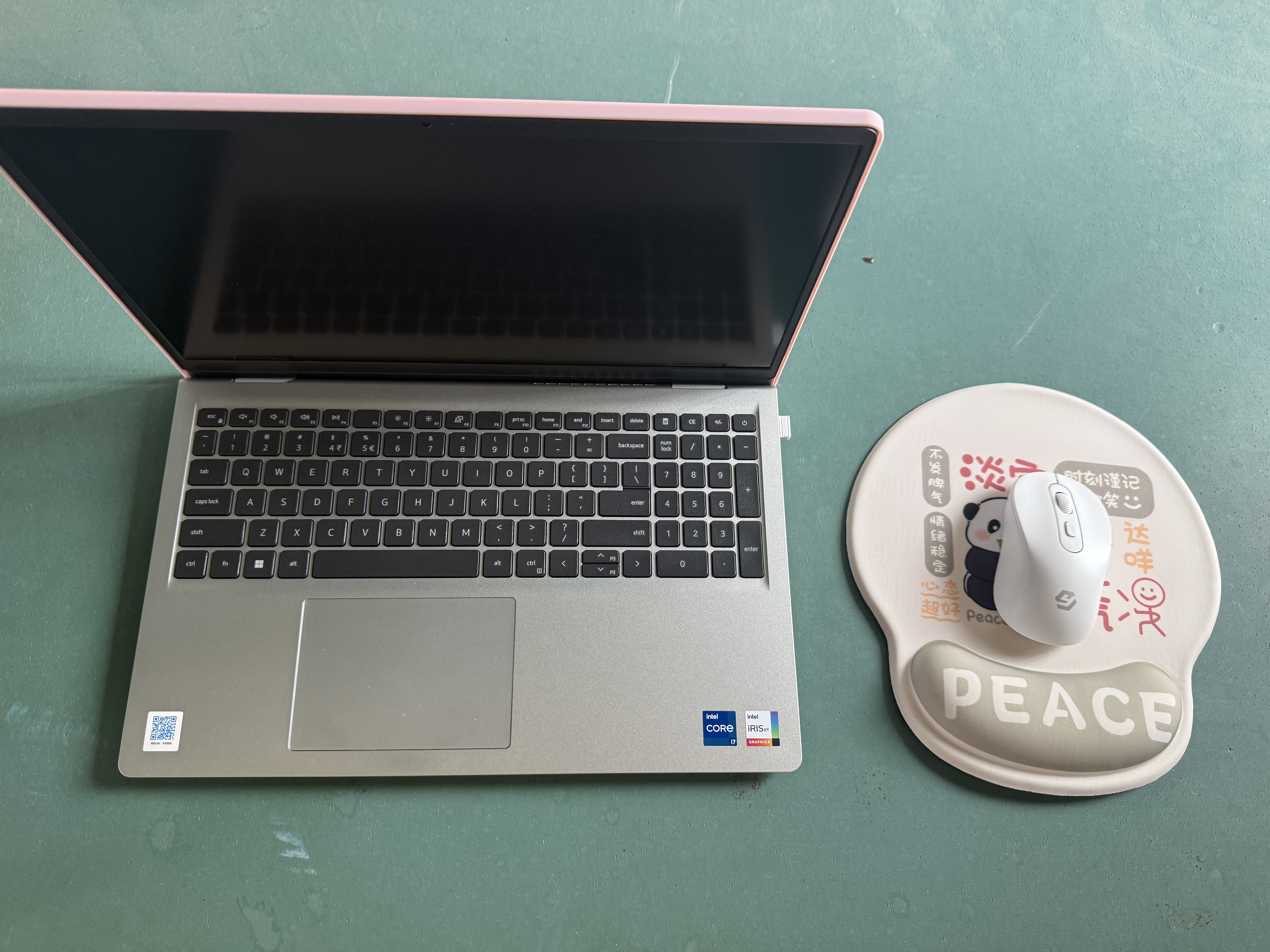 戴爾（DELL）618大促筆記本電腦輕薄本15.6英寸大屏金屬全能本成就靈越15pro粉色3530女大學(xué)生游戲辦公手提電腦 初戀粉 | 15pro裝粉殼 i7-1355U | 32G | 1000G  曬單實拍圖