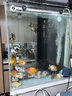 美悅寵物硝化細菌魚(yú)缸除氯清水魚(yú)池消毒殺菌海鹽凈水分解魚(yú)便消化活性菌 礦物海鹽【500g/袋】2包裝 曬單實(shí)拍圖