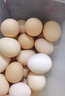 谷物歡欣 林間散養土雞蛋 新鮮雞蛋 農家散養柴雞蛋綠殼蛋 適合孕婦寶寶 50枚 曬單實(shí)拍圖