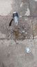 明霞一鍵開蓋玻璃杯高檔商務(wù)男辦公茶杯車載耐高溫防爆水杯定制速開杯 百家姓-【其他姓氏聯(lián)系客服】 300ml 曬單實拍圖