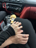 寶戀北極星情侶款銀戒指男女一對小眾設計對戒生日七夕節禮物送女朋友 京東倉配送/「北極星」925對戒+品質禮盒+證書 曬單實拍圖
