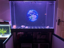 森森（SUNSUN）【包安裝】魚(yú)缸大型超白玻璃金魚(yú)缸客廳落地水族箱免換水底濾魚(yú)缸 1米長(cháng)34.5寬底濾(庫里藍)帶豪華養魚(yú)禮包 曬單實(shí)拍圖
