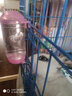 寵物飲水器 龍貓?zhí)祗檬笸米愉撝樗畨赝鈷焖畨?炫彩水壺350毫升 炫彩粉紅色350 曬單實(shí)拍圖