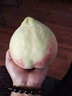 獨(dú)愛(ài)（DUAR）河北深州水蜜桃現(xiàn)摘桃子大果單果8兩8個(gè)壽桃毛桃 曬單實(shí)拍圖