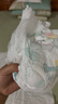 幫寶適（Pampers）清新幫拉拉褲 XL碼84片 通用 曬單實(shí)拍圖