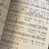 莫琳薩克斯中音降E降B調(diào)曲譜集 薩克斯教程簡譜五線譜 配套伴奏動態(tài)譜 薩克斯曲譜集(普通膠裝款) 掃碼享歌曲伴奏+動態(tài)譜+示范 曬單實(shí)拍圖