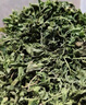 北京同仁堂酸棗芽茶泰山酸棗葉子嫩芽茶泡水好睡眠山棗葉炒酸棗仁芽棗牙新茶 [安睡整晚]酸棗芽茶500g 曬單實(shí)拍圖