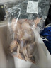 順豐包郵高山鷓鴣農(nóng)家養(yǎng)殖食用飛龍鳥(niǎo)越雉懷南營(yíng)養(yǎng)美味蒸煮新鮮好 2只裝【每只7-8兩】 凈膛 曬單實(shí)拍圖