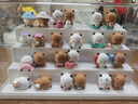 名創優品（MINISO）一二和布布情侶日常盲盒手辦擺件玩具周邊生日禮物男女 單盒 曬單實拍圖