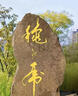 羅蒙100%棉【2件裝】純棉短袖t恤男士夏季圓領休閑純色打底衫體恤男裝 曬單實拍圖