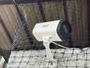 海康威視（HIKVISION）4G終身免流量監控攝像頭室內外對講槍機 2K高清全彩夜視無限流量攝像機戶外攝影頭手機遠程監控器 500萬4G終身免流量2255XM-LGL2T/L 官方標配+支架【咨詢有 曬單實拍圖