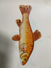 布洛赫手繪魚(yú)類(lèi)圖譜 北京大學(xué)旗艦店正版 曬單實(shí)拍圖