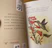 當當正版童書 有故事的漢字 第1輯（全3冊）彩圖版 漢字的故事書 有故事的詞語 二年級中國漢語漢子象形字里有看圖6-8-10歲兒童閱讀與識字一年級課外閱讀書 小學生課外閱讀 當當定制版 有故事的漢字  曬單實拍圖