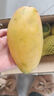 三萌果蔬芒果 新鮮貴妃芒水果海南當季水果爆甜多汁芒果水仙貴妃 5斤手挑裝【單果150g+】?jì)糁?.5斤 曬單實(shí)拍圖