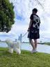 OFF-WHITE?情侶裝新款涂鴉效果寬松2026潮牌夏季男裝半袖男士高端短袖T恤 黑色 L 曬單實拍圖