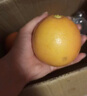 莊庚南非進(jìn)口紅心西柚葡萄柚新鮮應(yīng)季當(dāng)季孕婦水果 西柚5個 單果300-350克 曬單實(shí)拍圖
