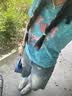 佐敘美式復(fù)古星星闊腿牛仔女做舊水洗印花寬松休閑垂感磨破直筒七分褲 復(fù)古藍 M （80-100斤） 曬單實拍圖