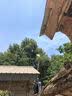 帝婧雙顯示屏加強(qiáng)型手機(jī)信號放大增強(qiáng)器加強(qiáng)接收擴(kuò)大器移動聯(lián)通電信三網(wǎng)合一2345G通話上網(wǎng)山區(qū)城市 旗艦款聯(lián)通移動電信三網(wǎng)合一（對數(shù)） 配室外線15米 曬單實(shí)拍圖