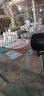 楊·柳·清·泉（Willow Spring）工業風扇電機大功率風扇電機頭強力落地扇掛壁扇500/650/750型號牛角扇通用16軸馬達電風扇配件 FS-75升級銅芯電機【一鍵搖頭+強力大風】 曬單實拍圖