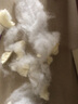 多格漫逗犬玩具調(diào)皮汪汪逗犬棒發(fā)聲毛絨玩具釣魚玩具陪伴玩具 斑小鱷 曬單實拍圖