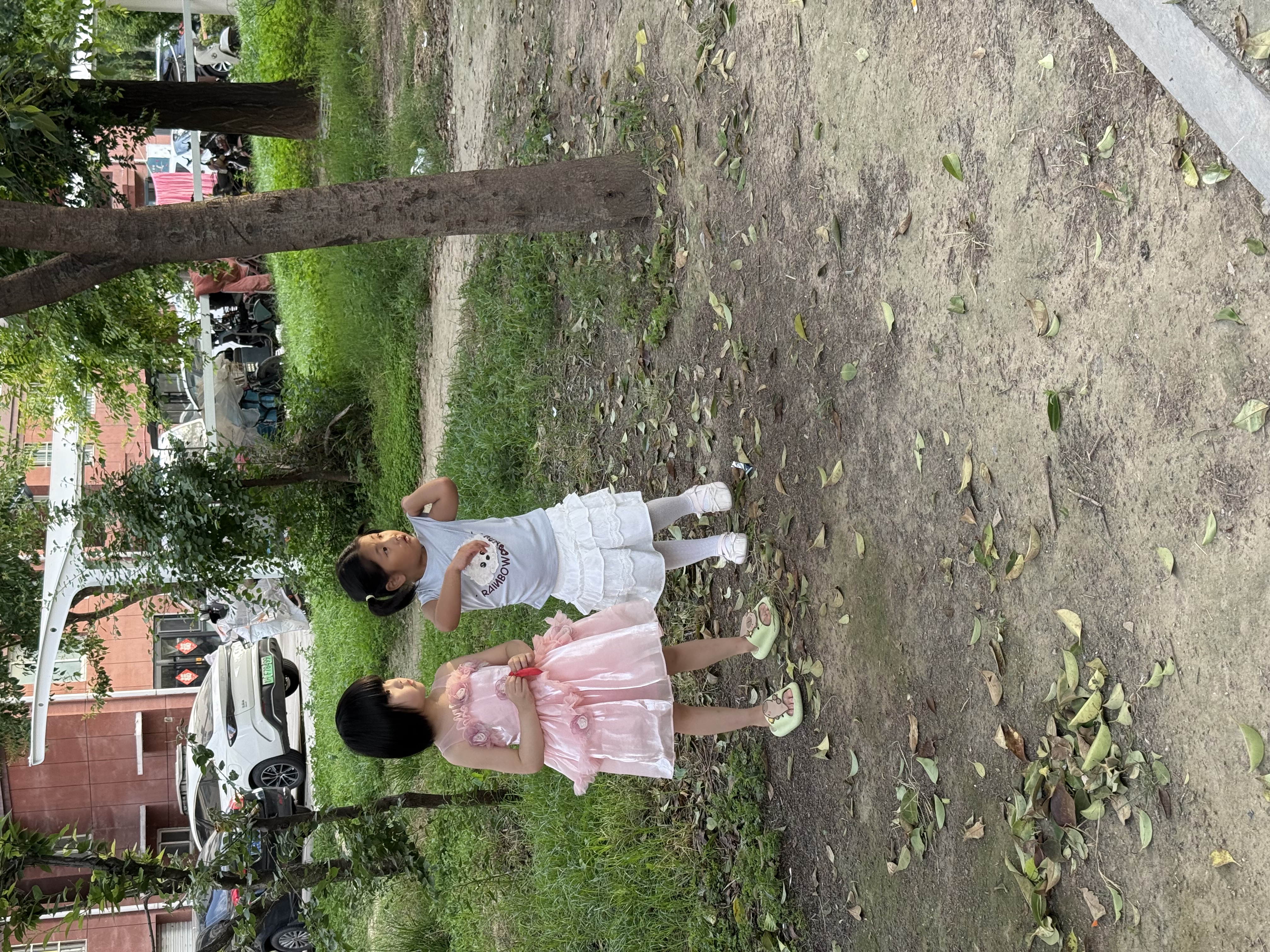 富羅迷女童連衣裙夏季新款無袖甜美花朵公主裙兒童禮服網(wǎng)紗裙 粉色 120 曬單實拍圖