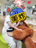 名創(chuàng)優(yōu)品（MINISO）純棉短袖女t恤夏季2026新款圓領寬松上衣中學生親膚舒適藍色半袖 曬單實拍圖
