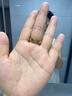 卡家經典金色 玫瑰金情侶對戒高端輕奢鑲鉆不掉色氣質百搭 6鉆戒指【黃金色】 7號（美碼） 曬單實拍圖