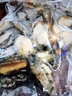 海鮮冷凍小鮑魚肉450-500個鮮活去殼凈肉深海鮑魚 30-35粒特大鮑魚肉1斤 曬單實拍圖