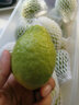 風(fēng)車(chē)車(chē)農場(chǎng)廣東香水檸檬 一級果 無(wú)籽香水檸檬 青檸檬 冷飲專(zhuān)用 1斤（一級果） 曬單實(shí)拍圖