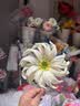 澳顏萊660根仿真花蕊彩色花心手工DIY絲網(wǎng)花玫瑰扭扭棒花芯花藝材料配件 仿真花芯2捆 【橘黃+奶白】 1捆約330根左右】 曬單實(shí)拍圖