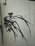 白蕉教你學(xué)寫蘭 曬單實(shí)拍圖