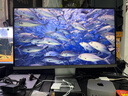 微星（MSI）27英寸 4K 65W Type-c 10Bit  99%DCIP3 萊茵低藍光認證不閃護眼屏 微邊框 家用辦公顯示器MD271UL 曬單實拍圖