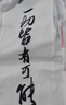 李寧小龍雀競(jìng)速比賽跑步背心男夏季新款速干修身彈力比賽上衣AAYV123 曬單實(shí)拍圖