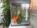 森森（SUNSUN）魚(yú)缸一體缸自循環(huán)客廳小型桌面超白玻璃水族箱生態(tài)免換水金魚(yú)缸 黑色480超白標配缸+假山46+水草景泥 曬單實(shí)拍圖